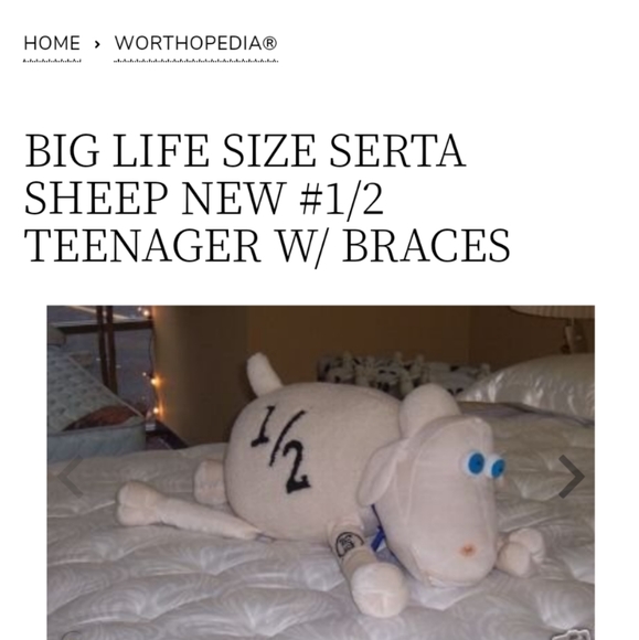 Curto Collectable Serta Counting  🐑 Sheep - Picture 6 of 16